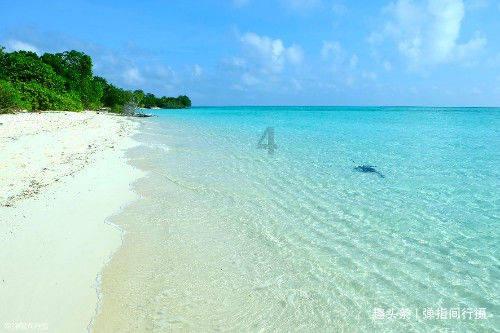 失忆的流浪者